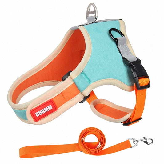 dog Harnesses and dog leash set